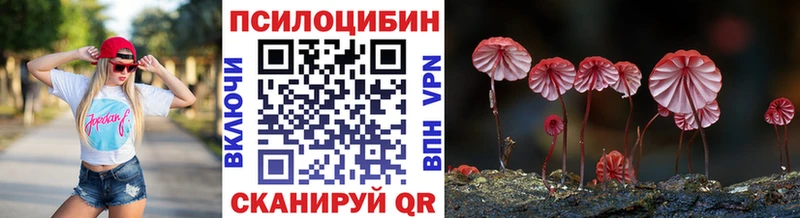 МЕГА ONION  Светогорск  Галлюциногенные грибы ЛСД  купить наркотики цена 