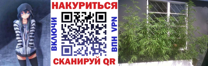 где купить наркоту  Светогорск  Шишки марихуана MAZAR 